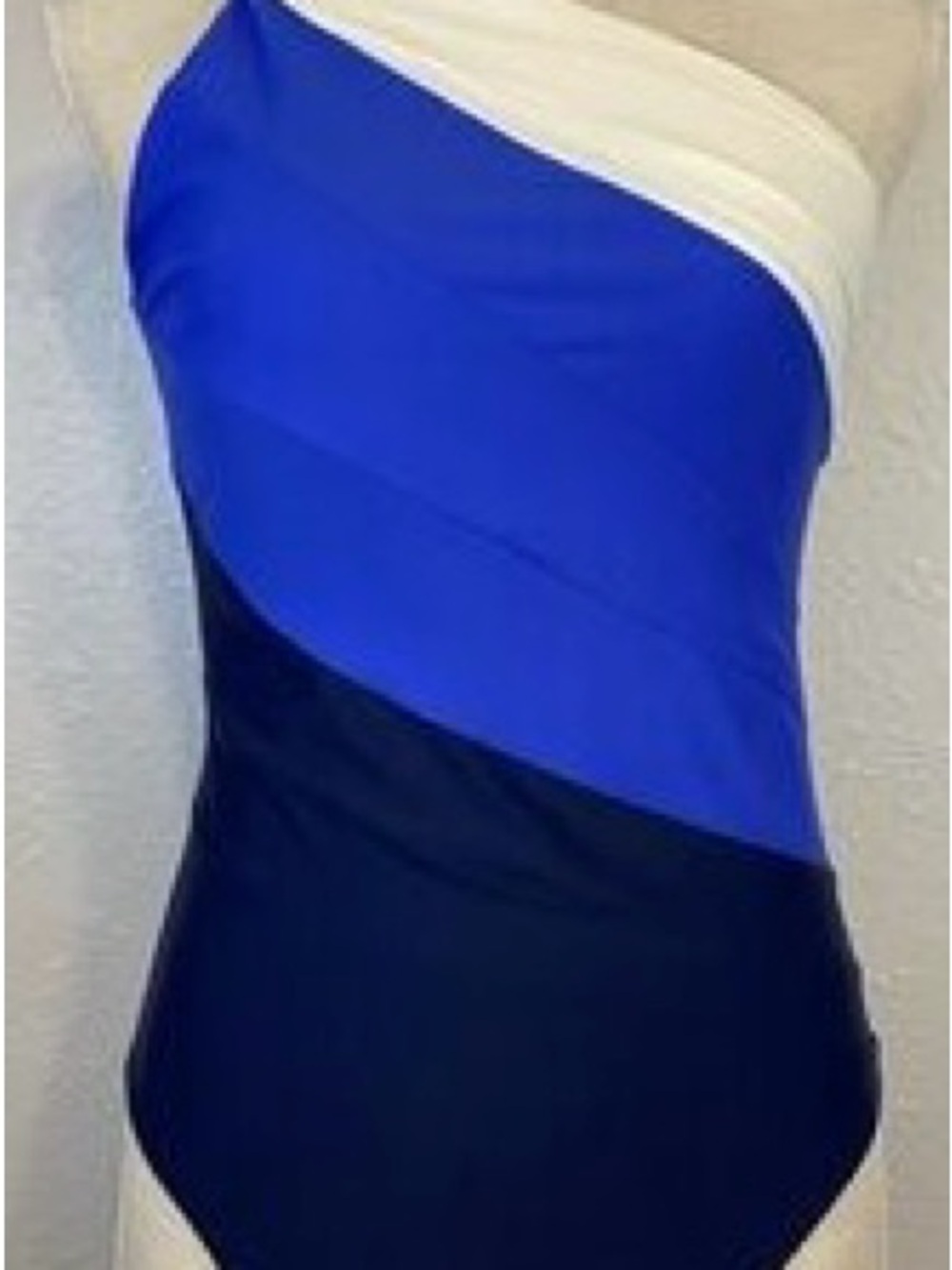 summersalt One-Shoulder Colorblock Swimsuit in Royal Blue, Navy & White